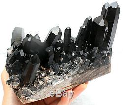 6.12lb Rare Naturel Noir Cristal Quartz Cluster Minéral Spécimen