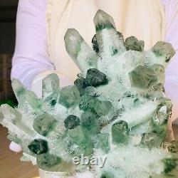 6.18lb Trouver Vert Phantom Quartz Crystal Cluster Mineral Specimen Healing F860