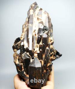 6.35lb Naturel Rare Beau Noir Quartz Cristal Cluster Minéral Spécimen