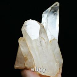 6.42lb Naturel Beau Cristal Blanc Quartz Cluster Point Spécimen Minéral