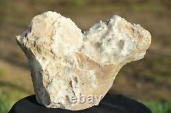 6.5LB Groupe de cristaux de quartz naturels clairs spécimen minéral de cristal de guérison