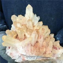 6.5lb Natural Quartz Cluster Cristal Récipient Minéral Cicatrisant Yz1036-ia-6