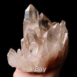 6,72lb Natural Clear Smoky Quartz Crystal Cluster Guérison Spécimen Minéral