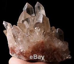 6,72lb Natural Clear Smoky Quartz Crystal Cluster Guérison Spécimen Minéral