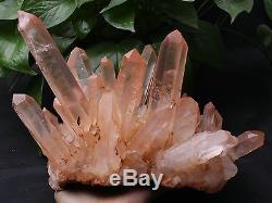 6,75 Lb Naturel Rare Belle Peau Rouge Quartz Cluster Crystal Tibétain Spécimen