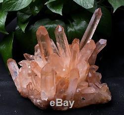 6,75 Lb Naturel Rare Belle Peau Rouge Quartz Cluster Crystal Tibétain Spécimen
