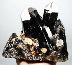 6.75lb Rare et naturel superbe spécimen de cristal de QUARTZ noir en grappe minérale.