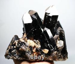6.75lb Rare et naturel superbe spécimen de cristal de QUARTZ noir en grappe minérale.