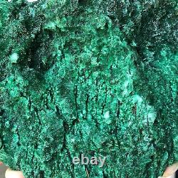6.7lb Un Cluster De Malachite Vert De Qualité Naturelle Spécimen Minéral Congo V970