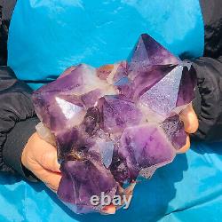 6,84 LB Échantillon de minerai de cristal violet naturel en grappe de quartz, pour la guérison spirituelle Reiki.