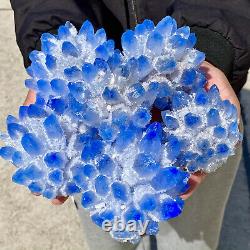 6.8lb Nouveau Trouver Ciel Bleu Phantom Quartz Cristal Cluster Mineral Specimen Healing