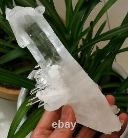 622g Amazing Natural Water Clear Cluster Growth On Double Terminated Quartz 622g Amazing Natural Water Clear Cluster Growth On Double Terminated Quartz 622g Amazing Natural Water Clear Cluster Growth On Double Terminated Quartz 6