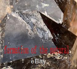 65.4lb Naturel Rare Beau Spécimen Minéral En Grappe De Quartz Noir Quartz