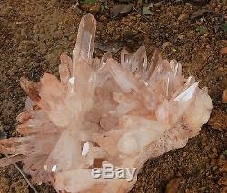 66.88lb Aa ++ Enorme Nice Clear Natural Pink Quartz Crystal Cluster Specimen Rare