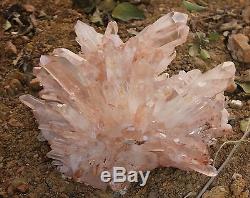 66.88lb Aa ++ Enorme Nice Clear Natural Pink Quartz Crystal Cluster Specimen Rare