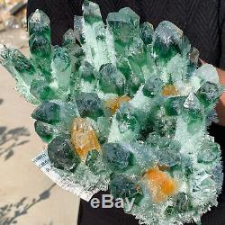 7.34lb Nouveau Trouver Vert Phantom Cristal De Quartz Grappe Minérale Des Échantillons De Guérison