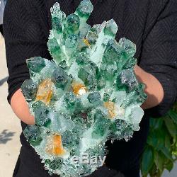 7.34lb Nouveau Trouver Vert Phantom Cristal De Quartz Grappe Minérale Des Échantillons De Guérison