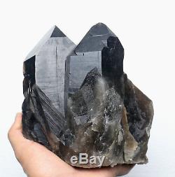 7.3lb Spécimen Minéral Rare De Grappe De Cristal De Quartz Noir De Beauté Naturelle
