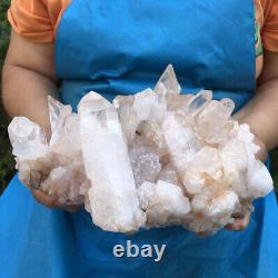 7,48LB spécimen de grappe de cristaux de quartz blanc transparent naturel pour la guérison 472