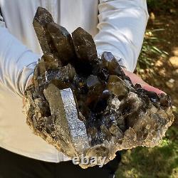 7,63 lb Rare spécimen minéral en cristal de quartz noir naturellement beau