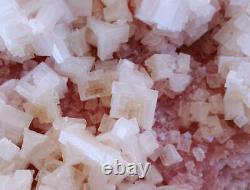 7.8 Lb 15 Pouces World Class Museum Pink Halite Crystal Cluster/trona California