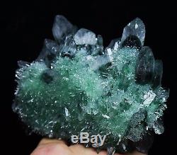 722g Nouveau Trouver Beau Spécimen Vert Tibetan Phantom Quartz Cristal Cluster Spécimen