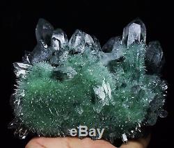 722g Nouveau Trouver Beau Spécimen Vert Tibetan Phantom Quartz Cristal Cluster Spécimen