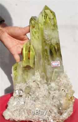 7450g Naturel Nouveauté Unique Citrine Quartz Crystal Point Cluster Spécimen