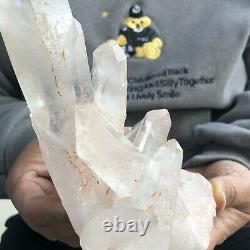 750g Naturel Blanc Clair Quartz Cristal Cluster Rough Healing Specimen N362