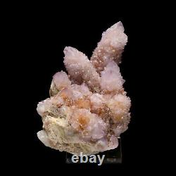 762g Améthyste Naturel Quartz Cristal Cluster Healing Mineral Specimen