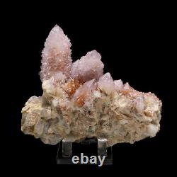 762g Améthyste Naturel Quartz Cristal Cluster Healing Mineral Specimen