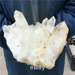 8.36lb Blanc Naturel Quartz Cluster Cristal Minéral Des Échantillons De Guérison
