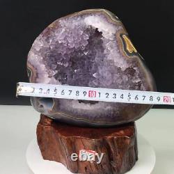 8.37LB TOP Améthyste naturelle en grappe de cristal de quartz spécimen de guérison reiki BA102