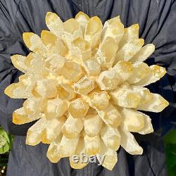 8.4LB Nouvelle Trouvaille de Cristal de Quartz Fantôme Jaune, Amas de Minéraux Spécimen de Guérison