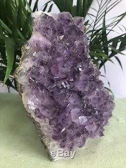 8.5 Grand Amethyst Geode Cristal Quartz Druze Specimen Amethyst Chakra Cluster