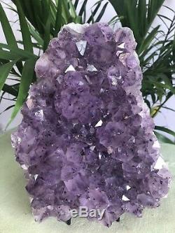 8.5 Grand Amethyst Geode Cristal Quartz Druze Specimen Amethyst Chakra Cluster