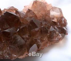 8.5lb Nouveauté Natural Clair Doré Rutilated Quartz Crystal Cluster Specenim