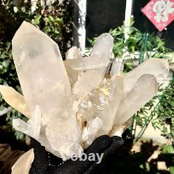 8,61 lb Échantillon de groupe de cristaux de quartz blanc naturel clair et magnifique
