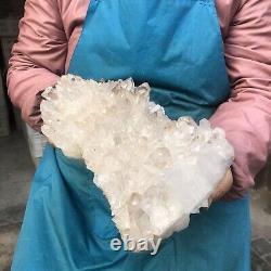 8,88 LB Échantillon minéral naturel de quartz clair, amas de cristaux blancs, pointe de reiki