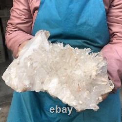 8,88 LB Échantillon minéral naturel de quartz clair, amas de cristaux blancs, pointe de reiki