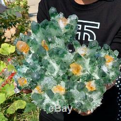 8.98lb Nouveau Trouver Vert Phantom Cristal De Quartz Grappe Minérale Des Échantillons De Guérison