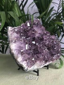 8 Grand Amethyst Geode Cristal Quartz Druze Specimen Amethyst Chakra Cluster
