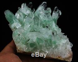 825g Aaa Rare Naturel Vert Ghost Pyramide Quartz Crystal Cluster Spécimen