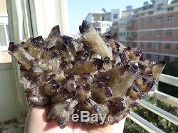825g Rare Nouveau Trouver Améthyste Natural Citrine Quartz Crystal Cluster Specimen
