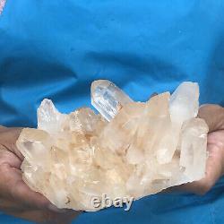 830g spécimen minéral de cristal de quartz naturel en cluster clair.