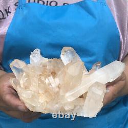 830g spécimen minéral de cristal de quartz naturel en cluster clair.