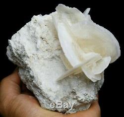 833.8g Rare Beauté Blanc Schisteux Calcite Cristal Cluster Échantillons Minéraux / Chine