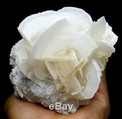 833.8g Rare Beauté Blanc Schisteux Calcite Cristal Cluster Échantillons Minéraux / Chine