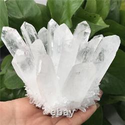 840g Blanc Naturel Cluster Quartz Cristal Point Minéral Spécimen Gemme Xc2860