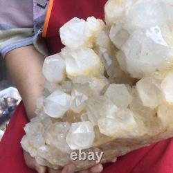 8560G Spécimen Minéral de Grappe de Cristal de Quartz Naturel Transparent qui Guérit